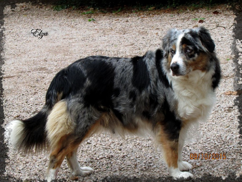Elza du Domaine de Naugigoutte