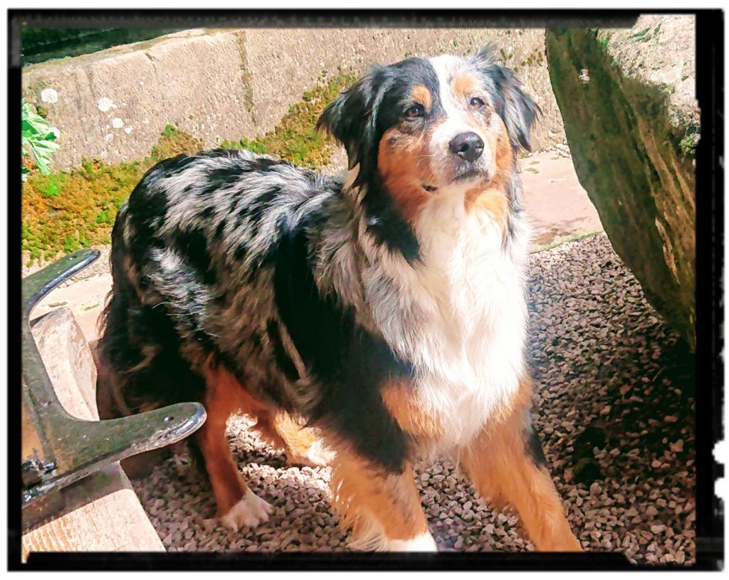 Lily jolie du Domaine de Naugigoutte