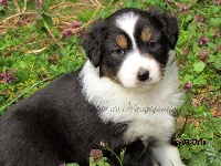 Molly